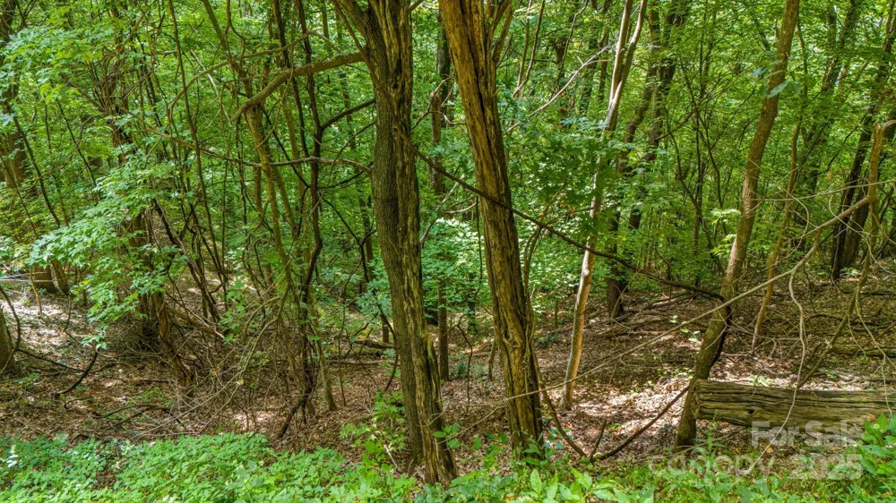 Lot 21 Cat Pen Branch Road Hot Springs, NC 28743