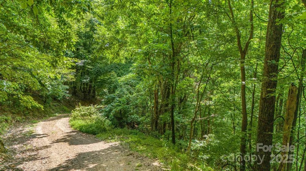Lot 21 Cat Pen Branch Road Hot Springs, NC 28743