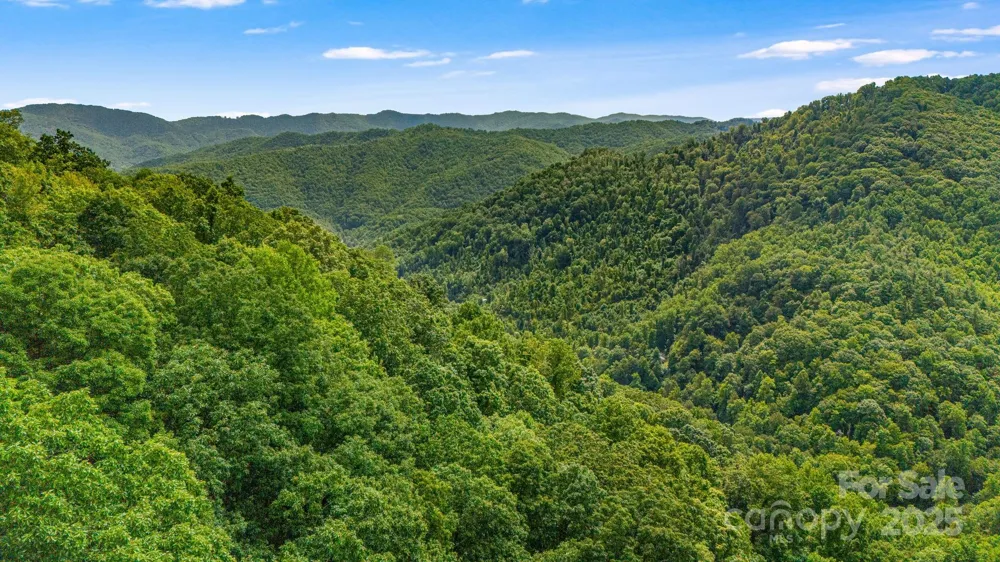 Lot 21 Cat Pen Branch Road Hot Springs, NC 28743