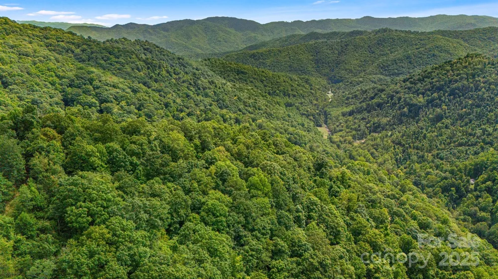 Lot 21 Cat Pen Branch Road Hot Springs, NC 28743