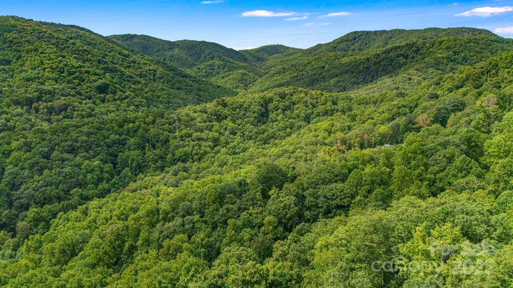 Lot 21 Cat Pen Branch Road Hot Springs, NC 28743