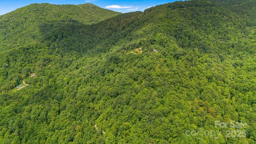 Lot 21 Cat Pen Branch Road Hot Springs, NC 28743