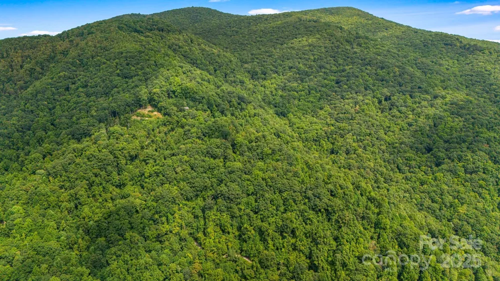 Lot 21 Cat Pen Branch Road Hot Springs, NC 28743