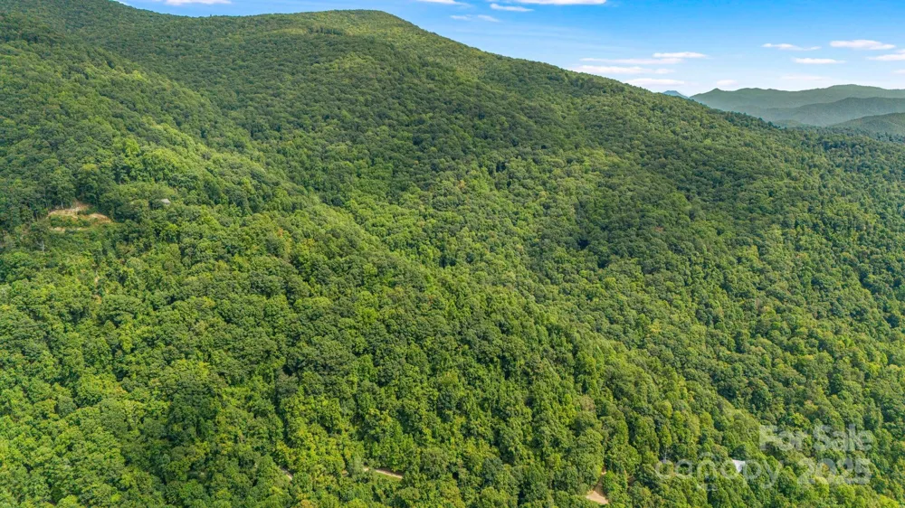 Lot 21 Cat Pen Branch Road Hot Springs, NC 28743