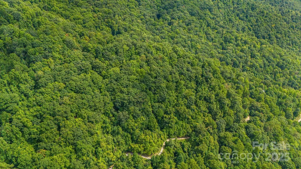 Lot 21 Cat Pen Branch Road Hot Springs, NC 28743