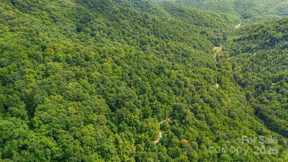 Lot 21 Cat Pen Branch Road Hot Springs, NC 28743