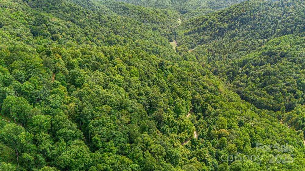 Lot 21 Cat Pen Branch Road Hot Springs, NC 28743