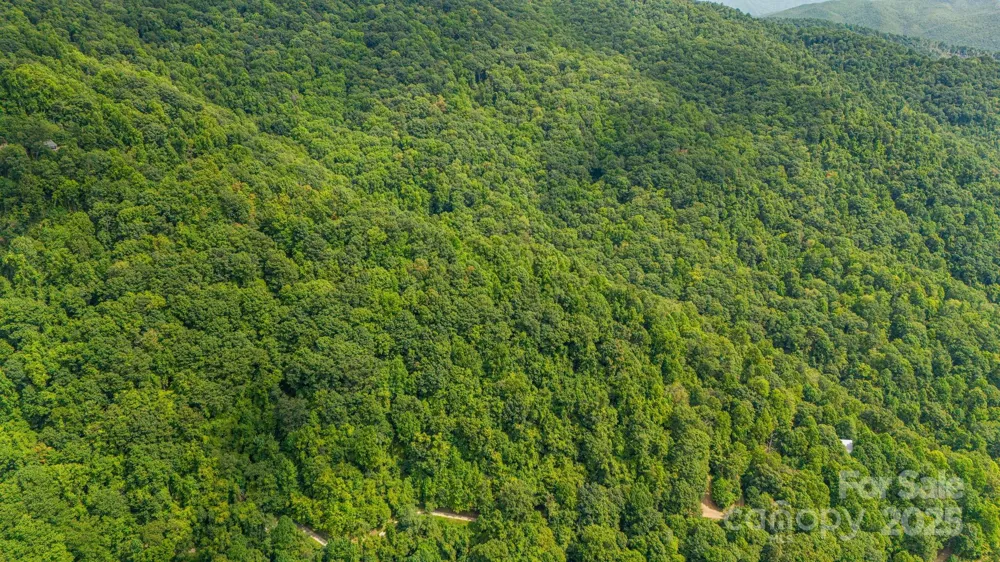 Lot 21 Cat Pen Branch Road Hot Springs, NC 28743