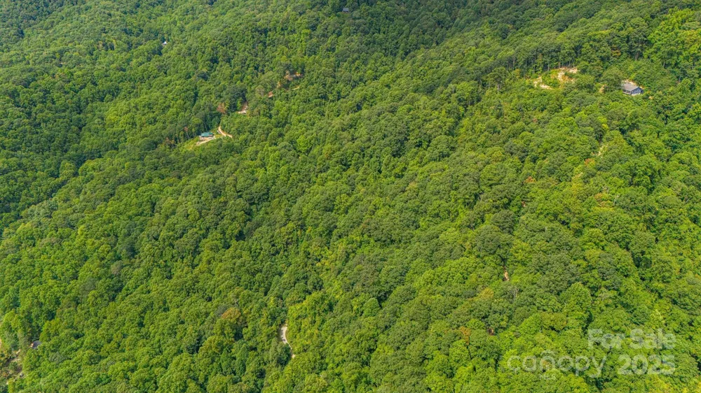 Lot 21 Cat Pen Branch Road Hot Springs, NC 28743