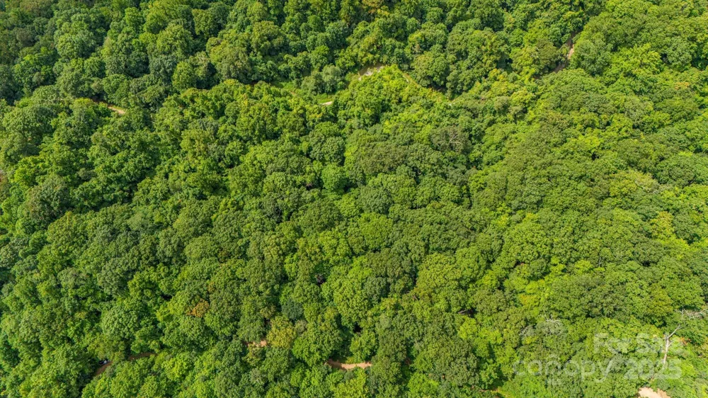Lot 21 Cat Pen Branch Road Hot Springs, NC 28743