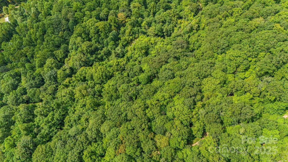 Lot 21 Cat Pen Branch Road Hot Springs, NC 28743
