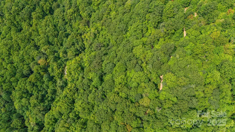 Lot 21 Cat Pen Branch Road Hot Springs, NC 28743