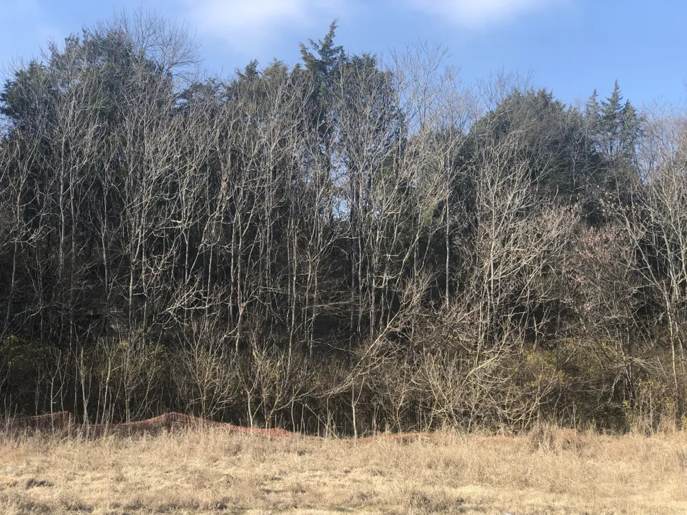 433 Old Hickory Blvd Antioch, TN 37013
