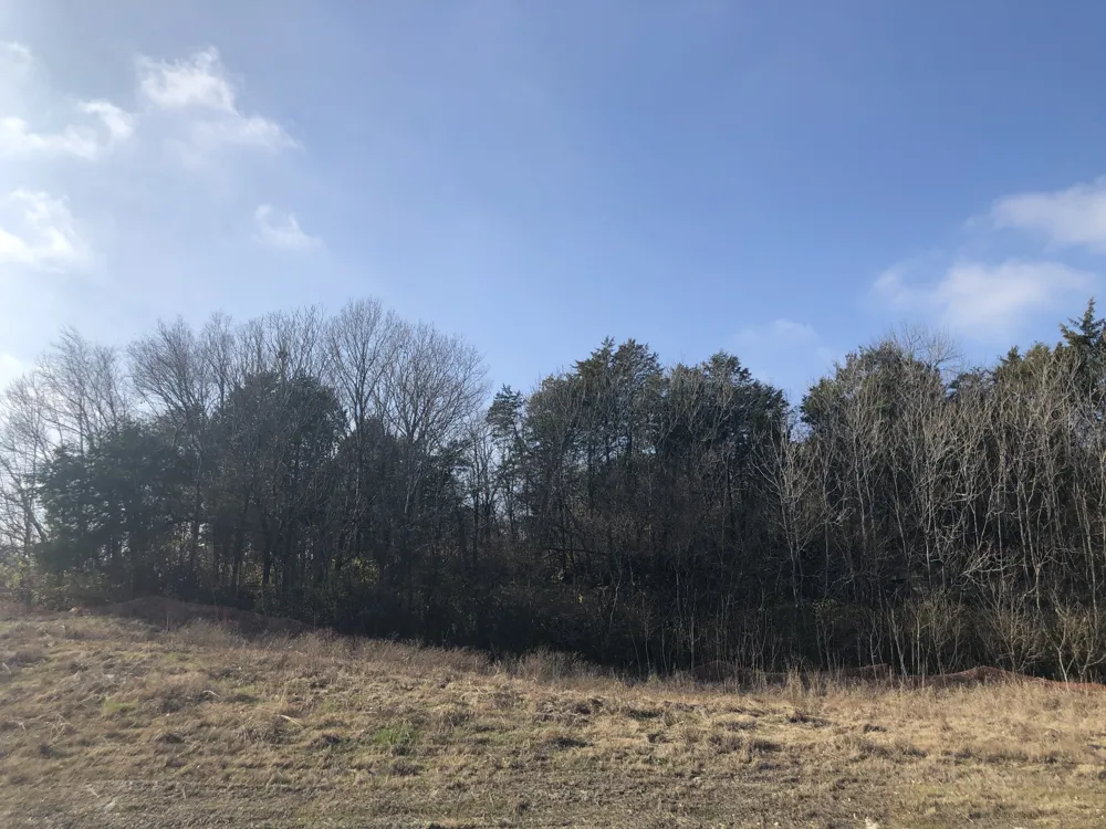 433 Old Hickory Blvd Antioch, TN 37013