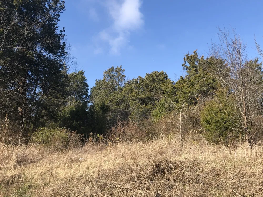 433 Old Hickory Blvd Antioch, TN 37013