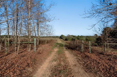 County Road 204