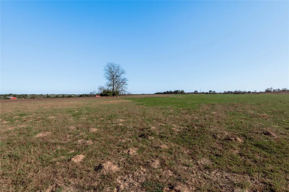County Road 204 Centerville, TX 75833