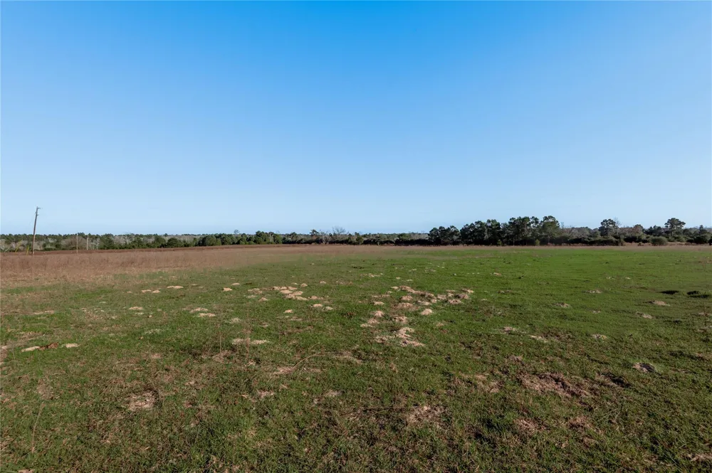 County Road 204 Centerville, TX 75833