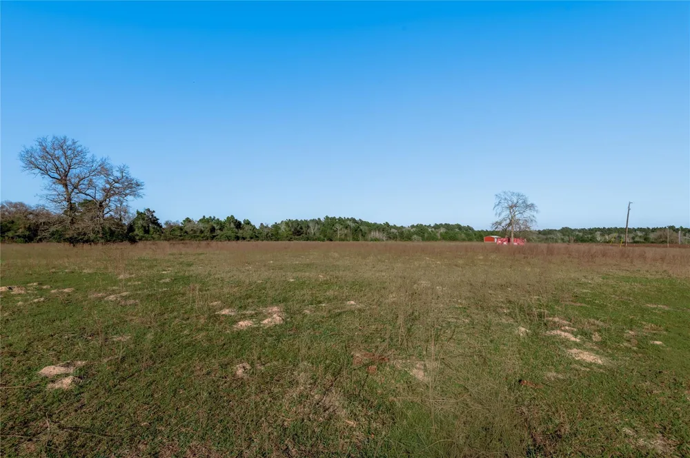 County Road 204 Centerville, TX 75833