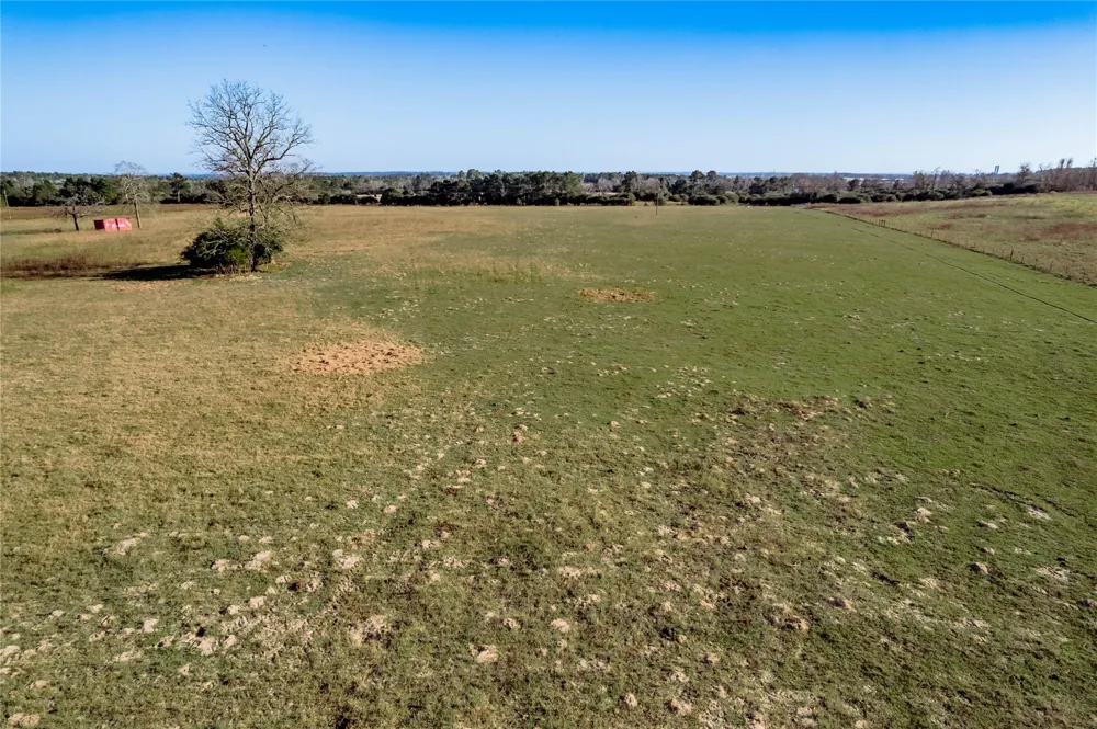 County Road 204 Centerville, TX 75833