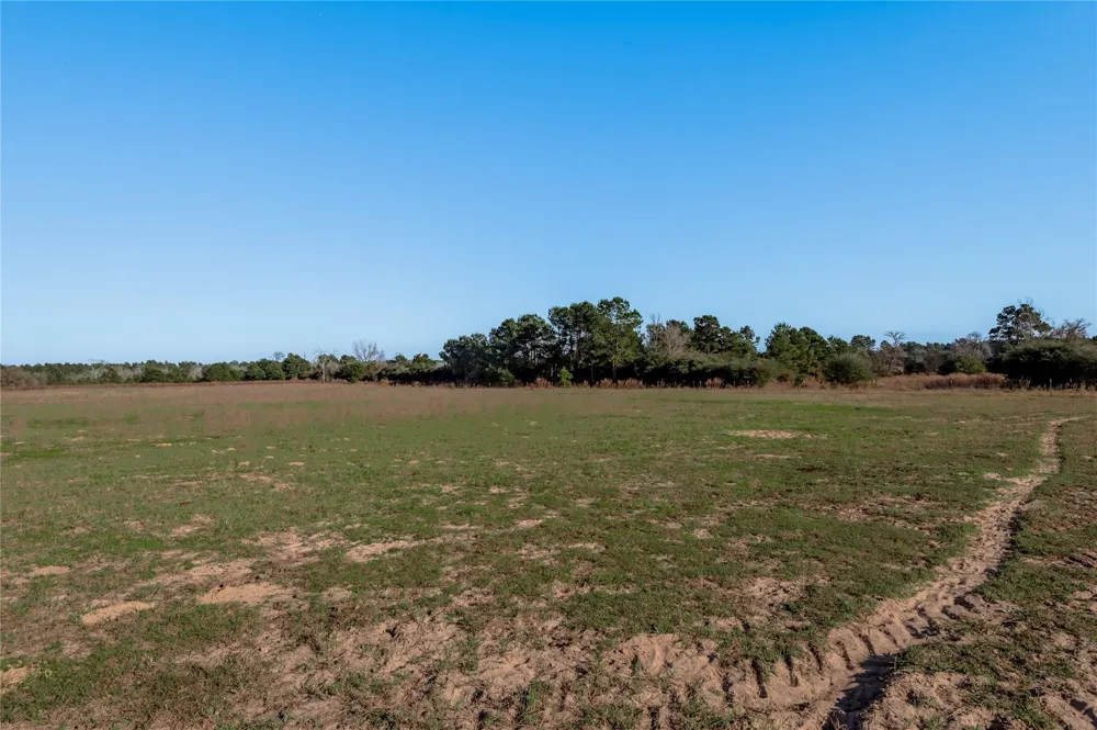 County Road 204 Centerville, TX 75833