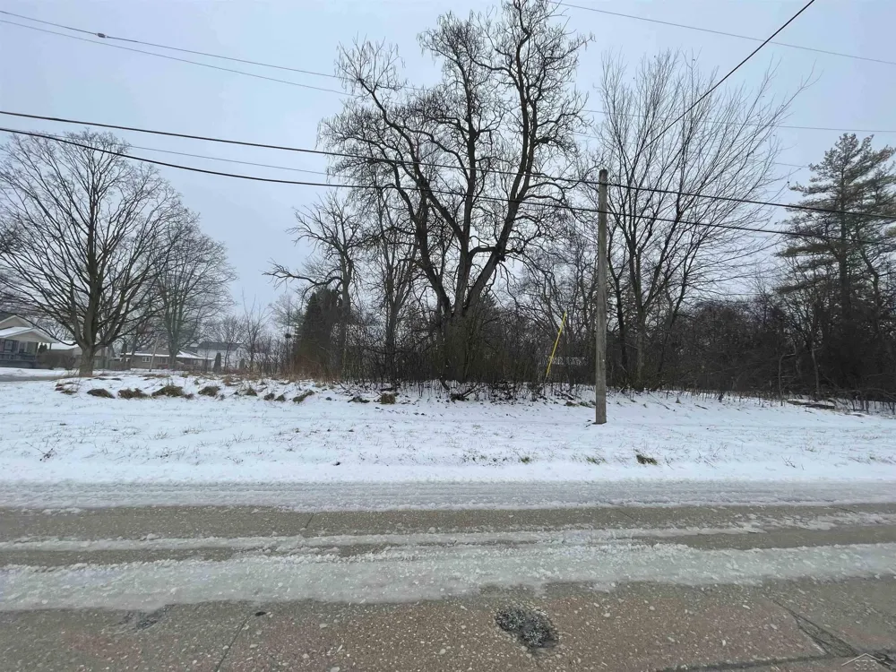 2310 Wilkins Street Saginaw City, MI 48601