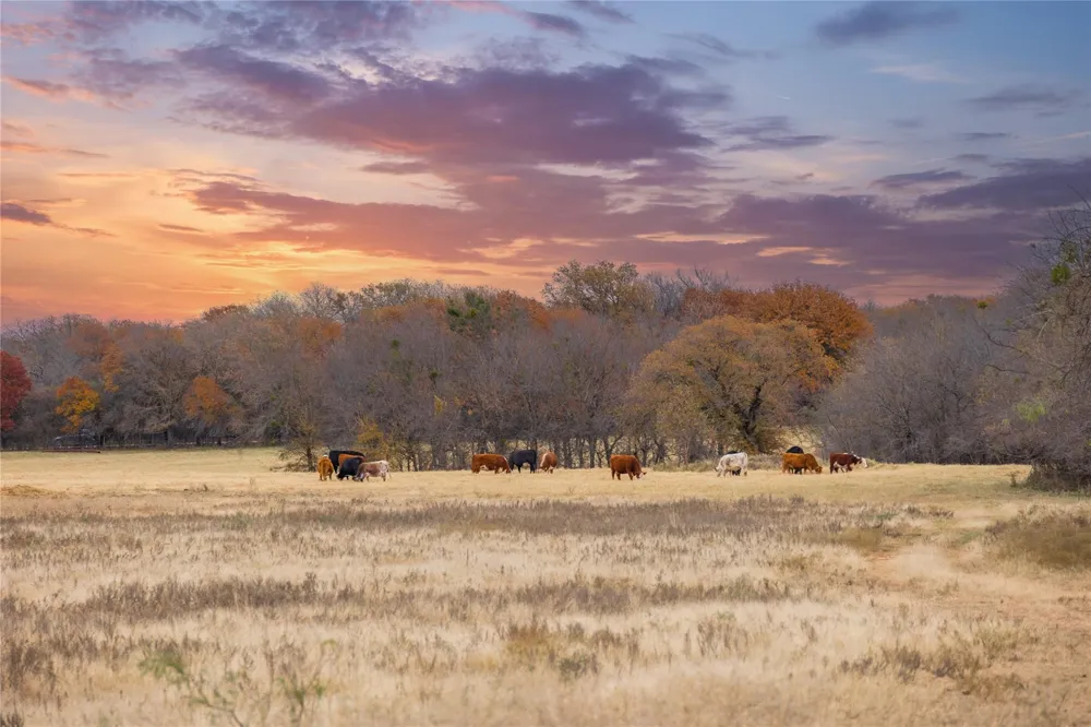 355 County Road 144 Comanche, TX 76442