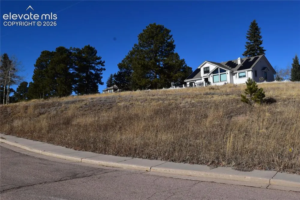 108 Allison Place Divide, CO 80814
