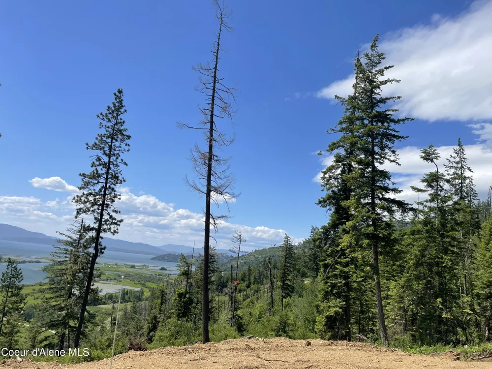 NNA Hwy 200 Clark Fork, ID 83811