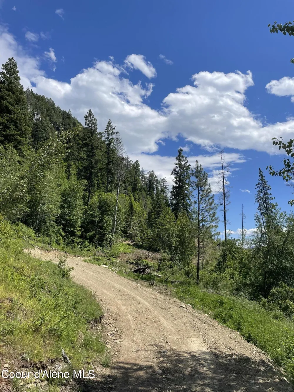 NNA Hwy 200 Clark Fork, ID 83811