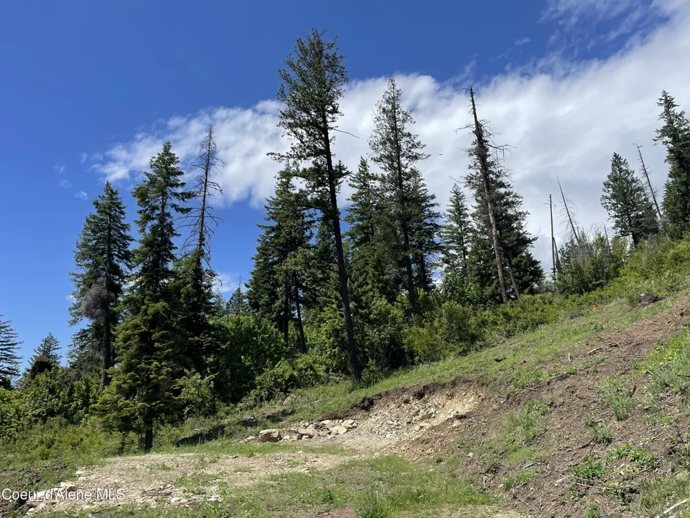 NNA Hwy 200 Clark Fork, ID 83811