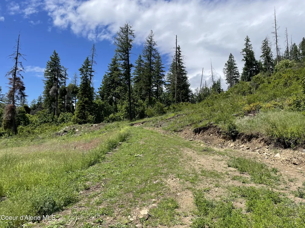 NNA Hwy 200 Clark Fork, ID 83811