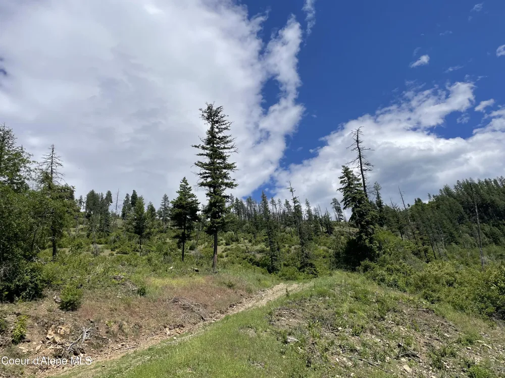 NNA Hwy 200 Clark Fork, ID 83811