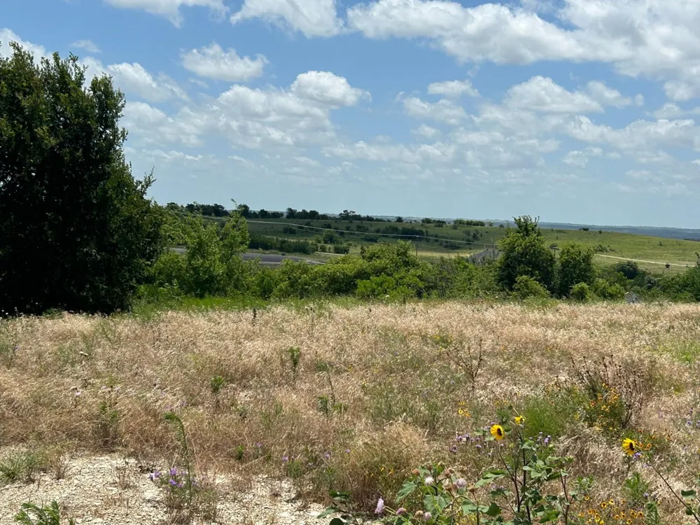 2521 Tom Chaney Drive #104 Cresson, TX 76035
