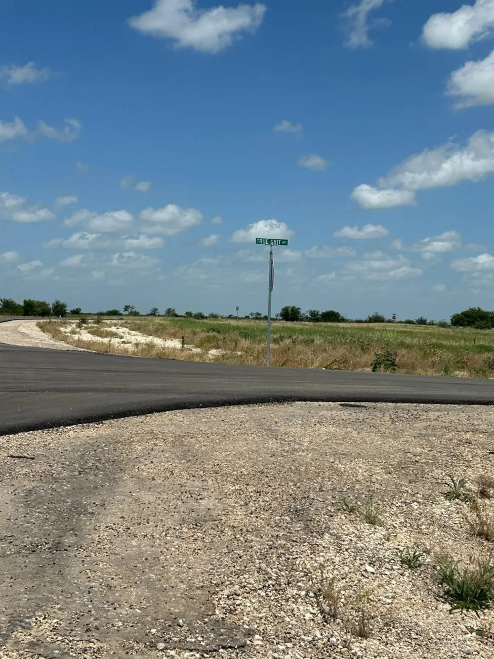 2521 Tom Chaney Drive #104 Cresson, TX 76035