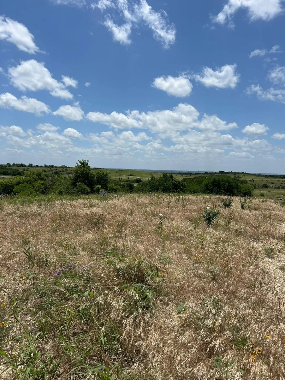 2521 Tom Chaney Drive #104 Cresson, TX 76035