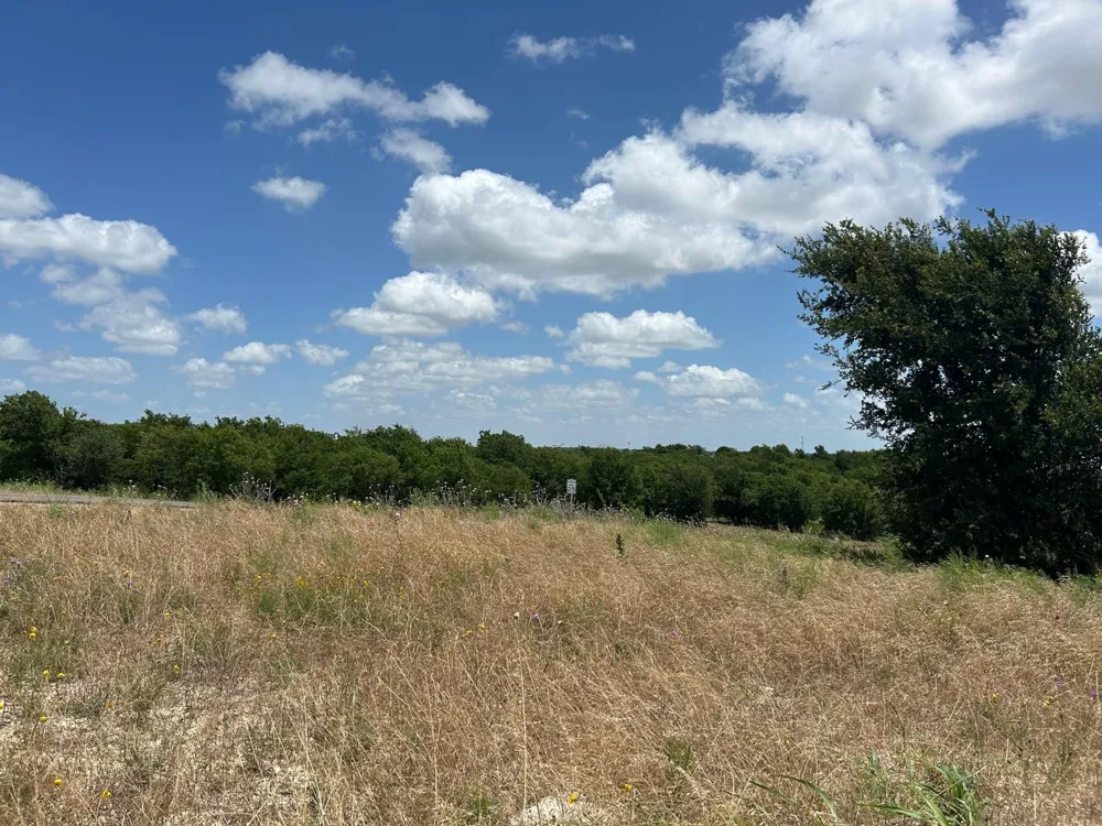 2521 Tom Chaney Drive #104 Cresson, TX 76035