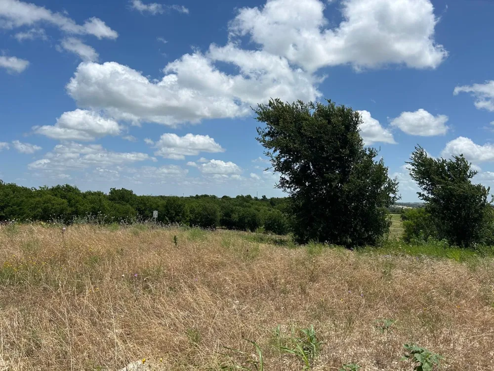 2521 Tom Chaney Drive #104 Cresson, TX 76035