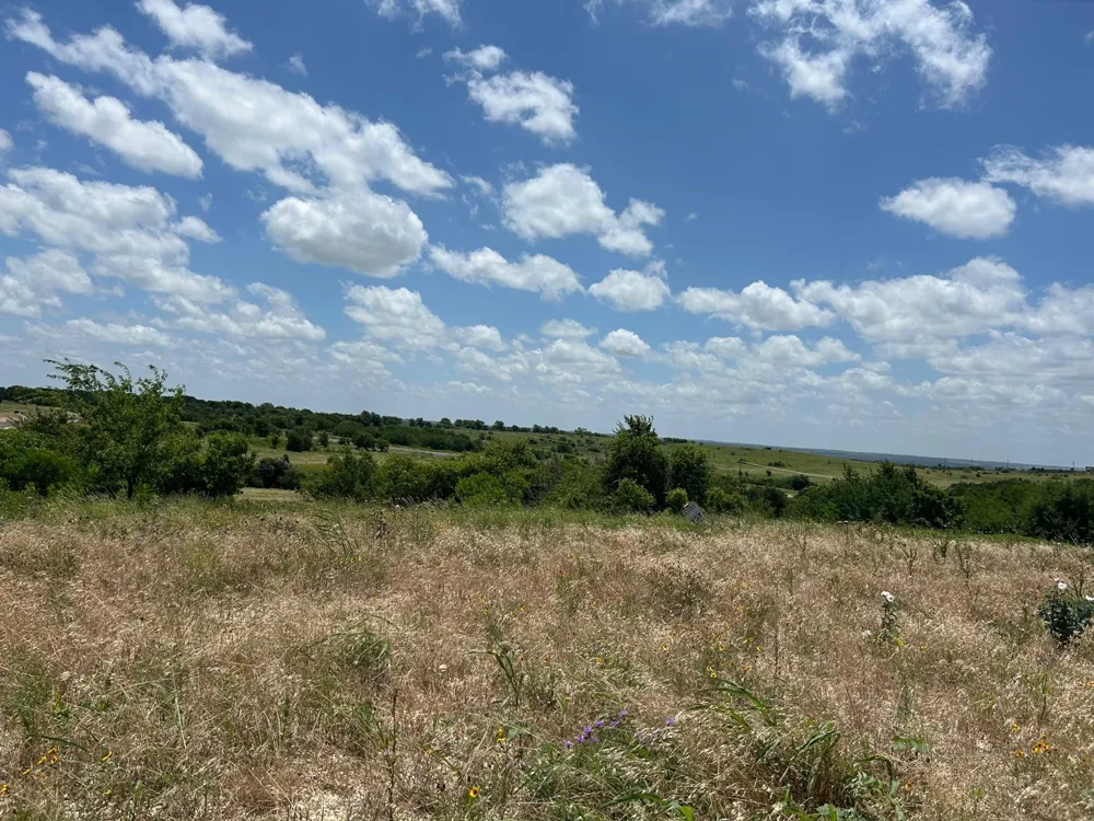 2521 Tom Chaney Drive #104 Cresson, TX 76035