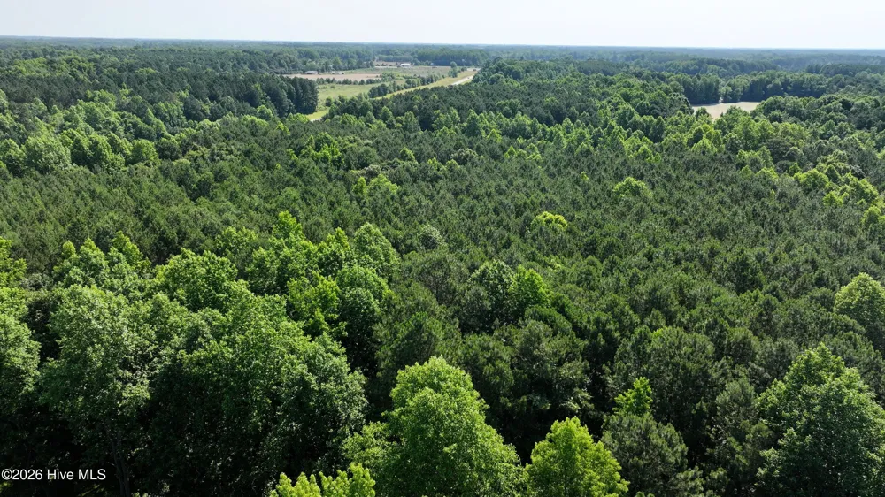 00 Cooper Branch Road Clayton, NC 27520