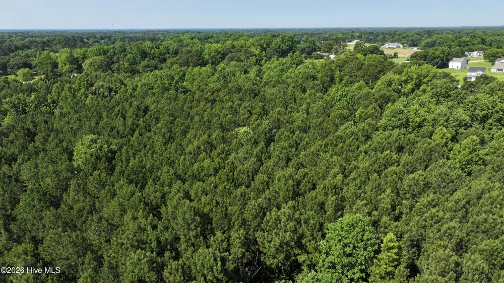 00 Cooper Branch Road Clayton, NC 27520