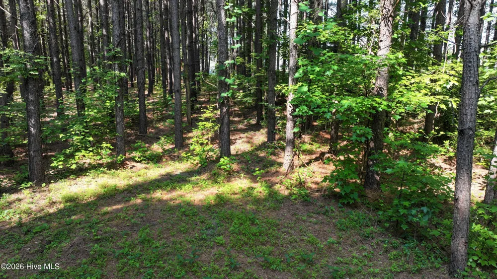 00 Cooper Branch Road Clayton, NC 27520