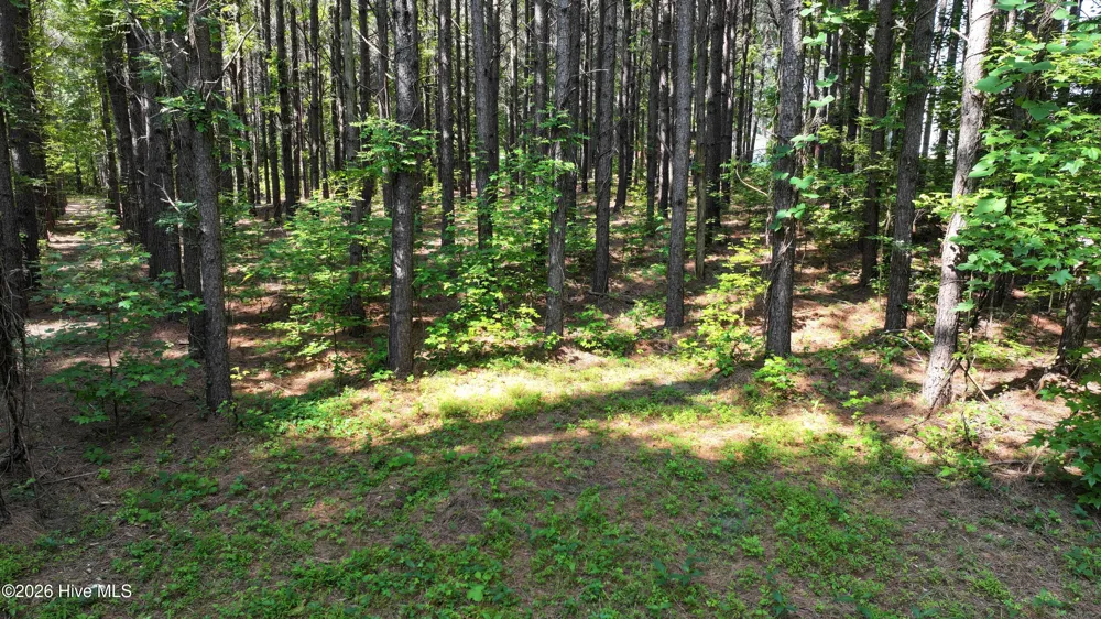 00 Cooper Branch Road Clayton, NC 27520