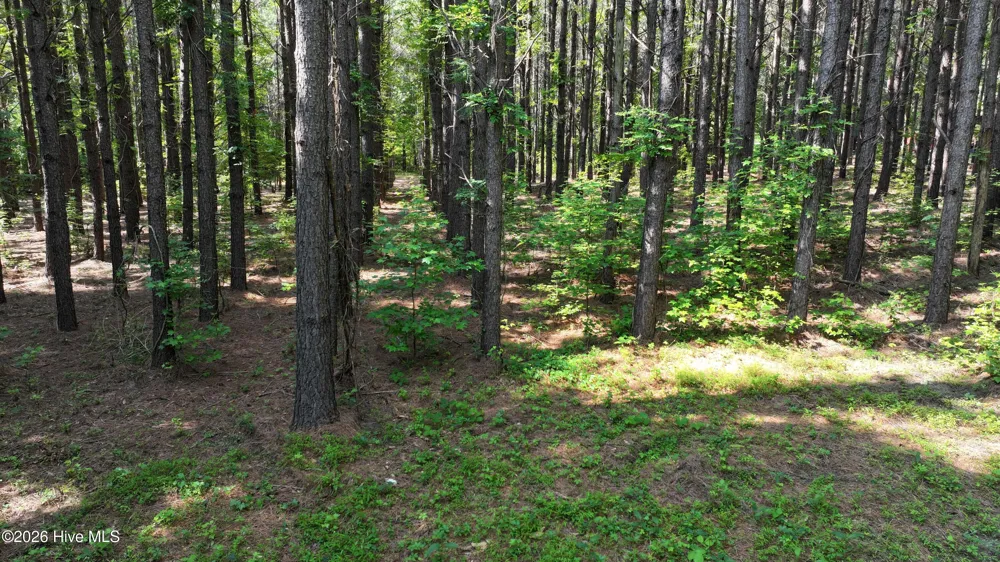 00 Cooper Branch Road Clayton, NC 27520