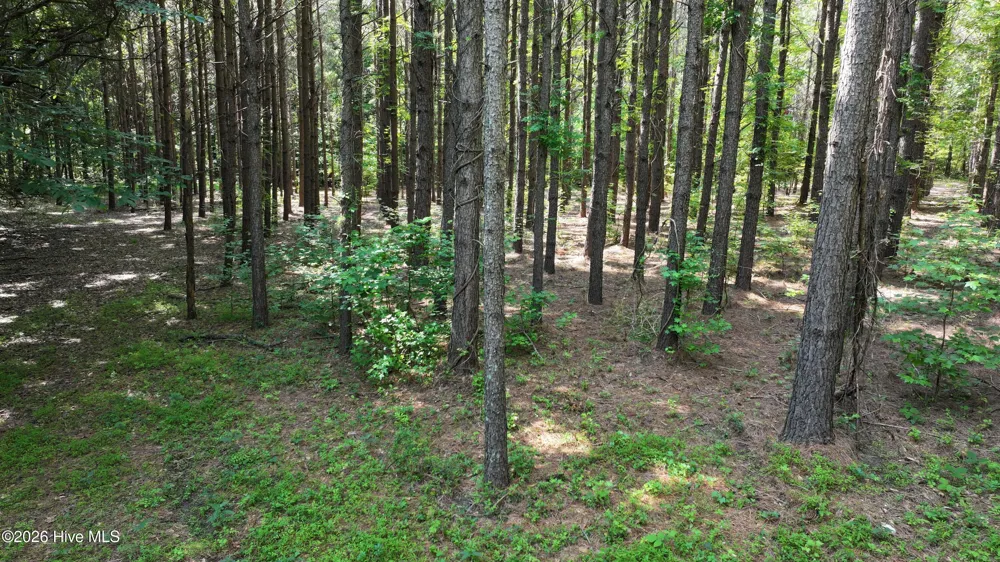 00 Cooper Branch Road Clayton, NC 27520
