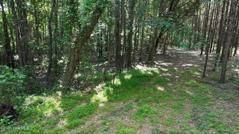 00 Cooper Branch Road Clayton, NC 27520