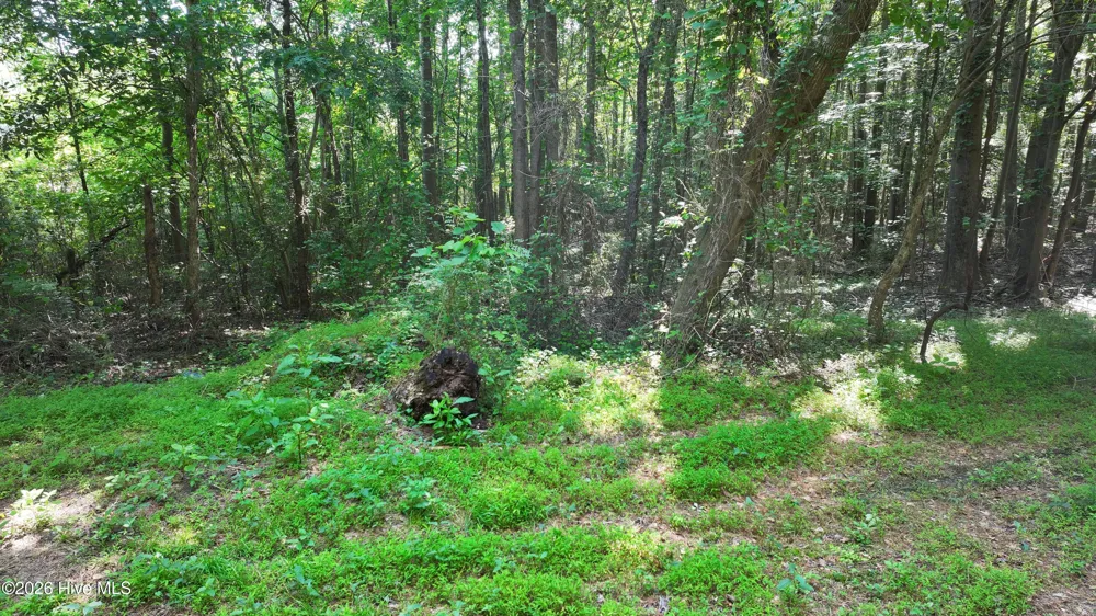 00 Cooper Branch Road Clayton, NC 27520