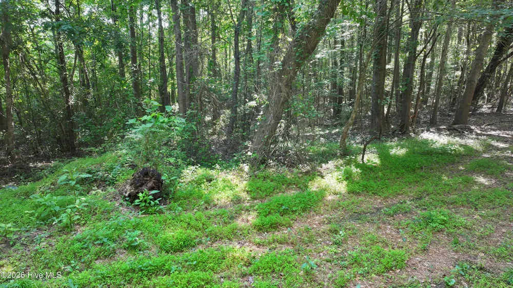 00 Cooper Branch Road Clayton, NC 27520