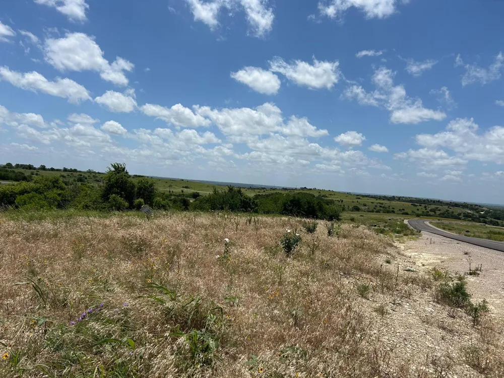 2517 Tom Chaney Drive #103 Cresson, TX 76035
