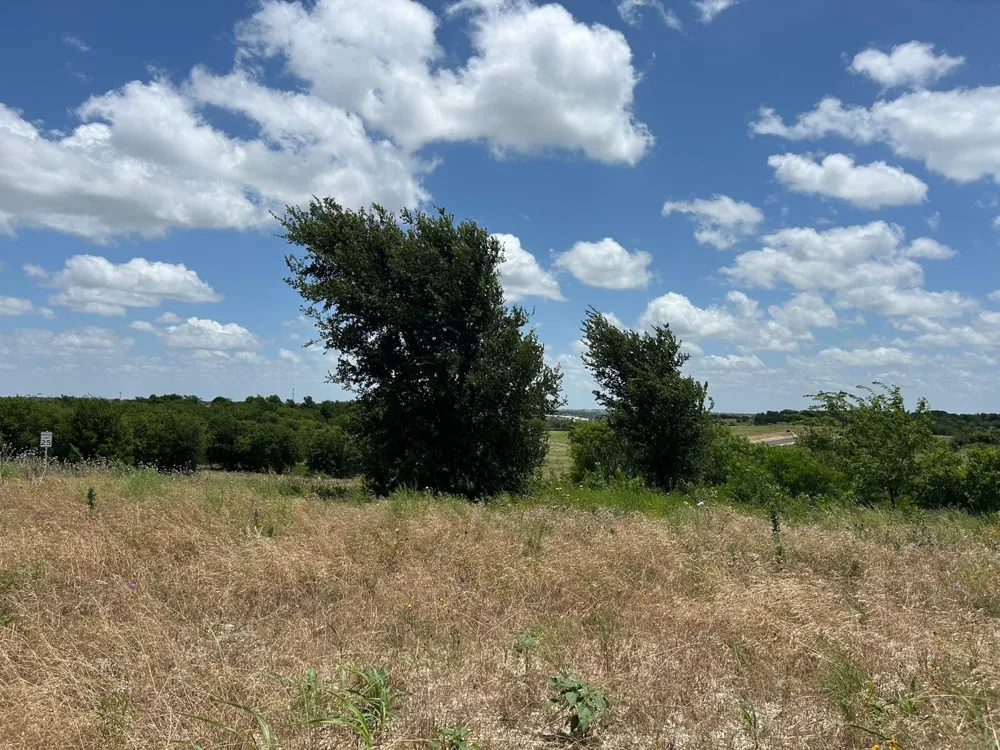2517 Tom Chaney Drive #103 Cresson, TX 76035